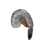 HLSO shrimp – Headless Shell-On