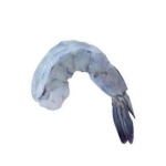 PTO shrimp – Peeled Tail-On